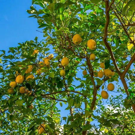 Апартаменти Yourhome - Tramonto Sul Golfo *